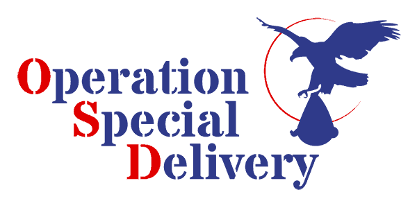WebBabyShower Operation Special Delivery