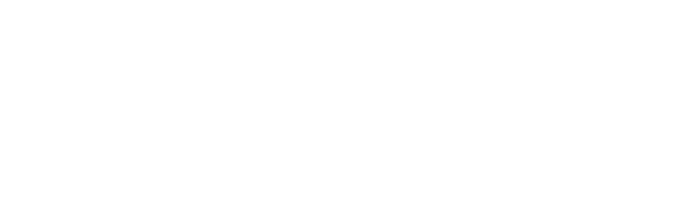 webbabyshower essence press logo