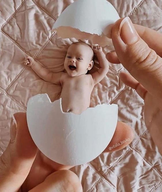 birth announcement hatching from egg